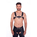 Prowler RED Bull Harness Black with Metal Fittings XL