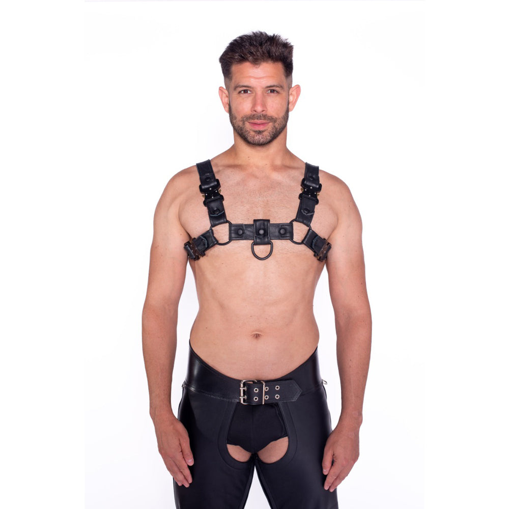 Prowler RED Bull Harness Black with Metal Fittings XL